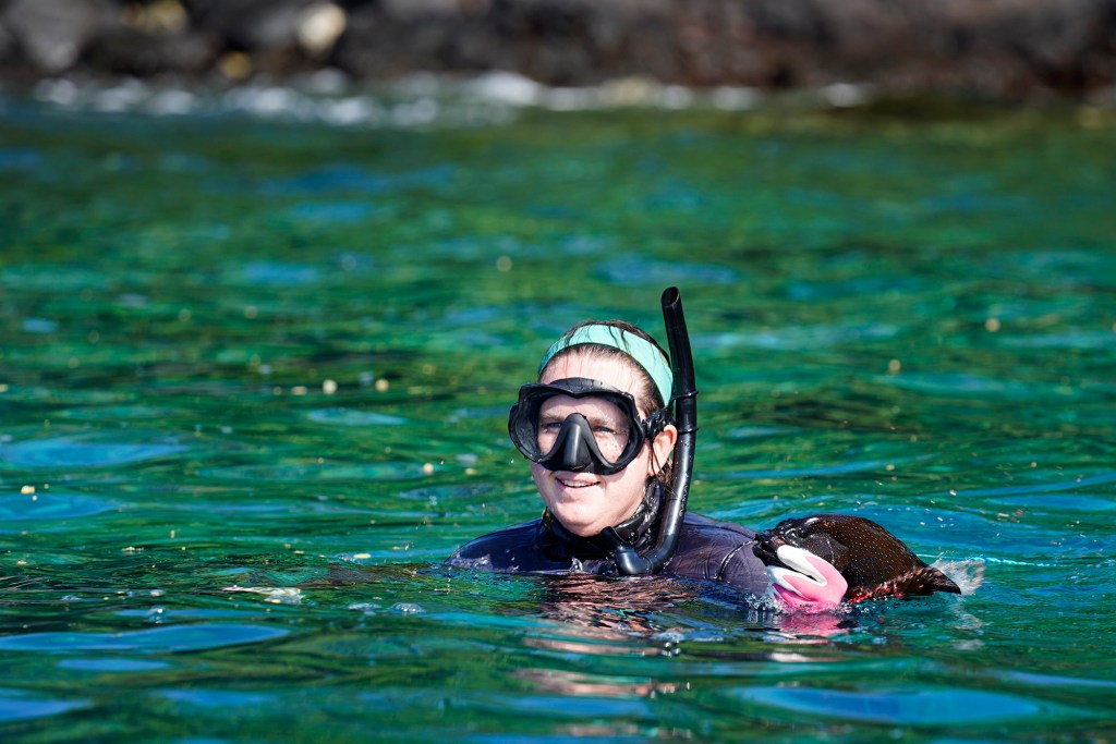 Julia Rose surfaces with an invasive roi during the Kealakekua Bay Non-Native I‘a (fish) Removal Event Sunday, May 18, 2025, in Captain Cook. Rose is The Nature Conservancy, Hawai‘i’s Coral Restoration Program Manager. The TNC supported this removal of invasive fish to help endemic fish thrive. Roi, also known as a peacock grouper, was introduced in the 1950s from French Polynesia, to add another food source to Hawaiʻian waters. However, roi are known to carry Ciguatera Toxin which can make consumers ill. (Kevin Fujii/Civil Beat/2025)