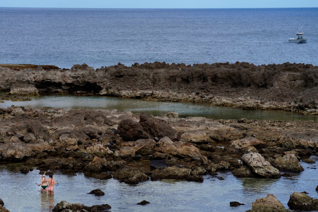 Two snorkelers find an uncrowded spot in Sharks Cove  Monday, June 16, 2025, in Haleʻiwa. (Kevin Fujii/Civil Beat/2025)