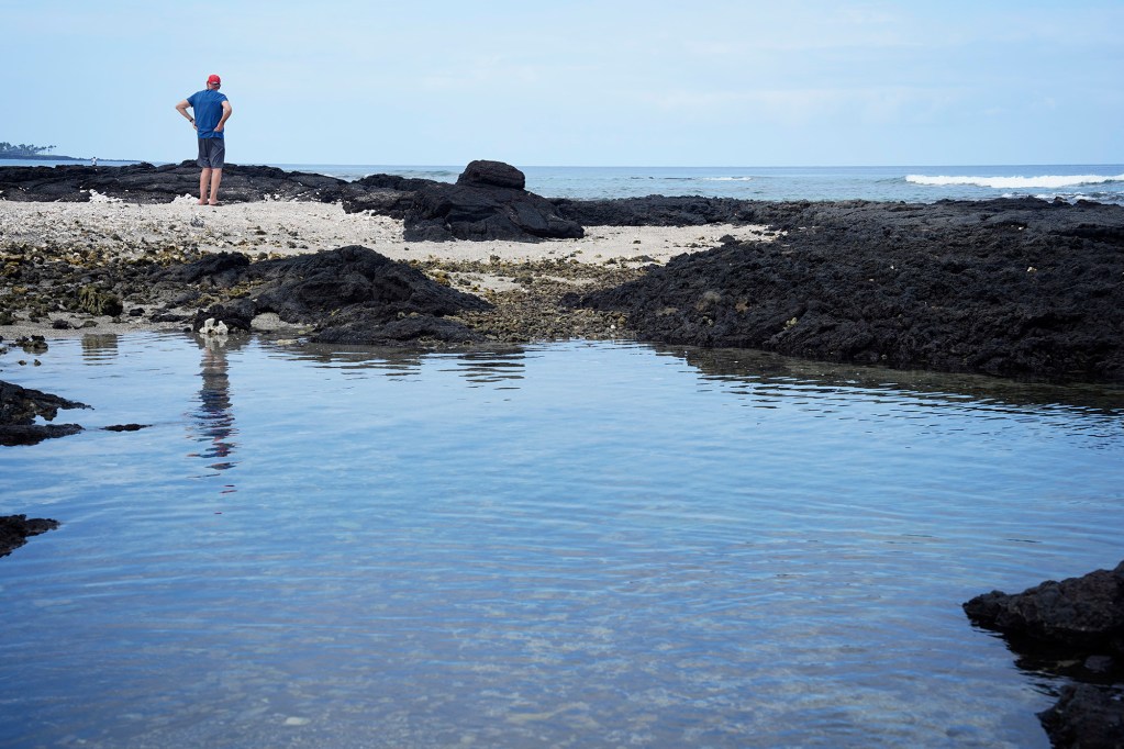 George Fry scans the horizon at 138 #9 Turtle Beach Friday, Oct. 3, 2025, in Waimea. (Kevin Fujii/Civil Beat/2025)