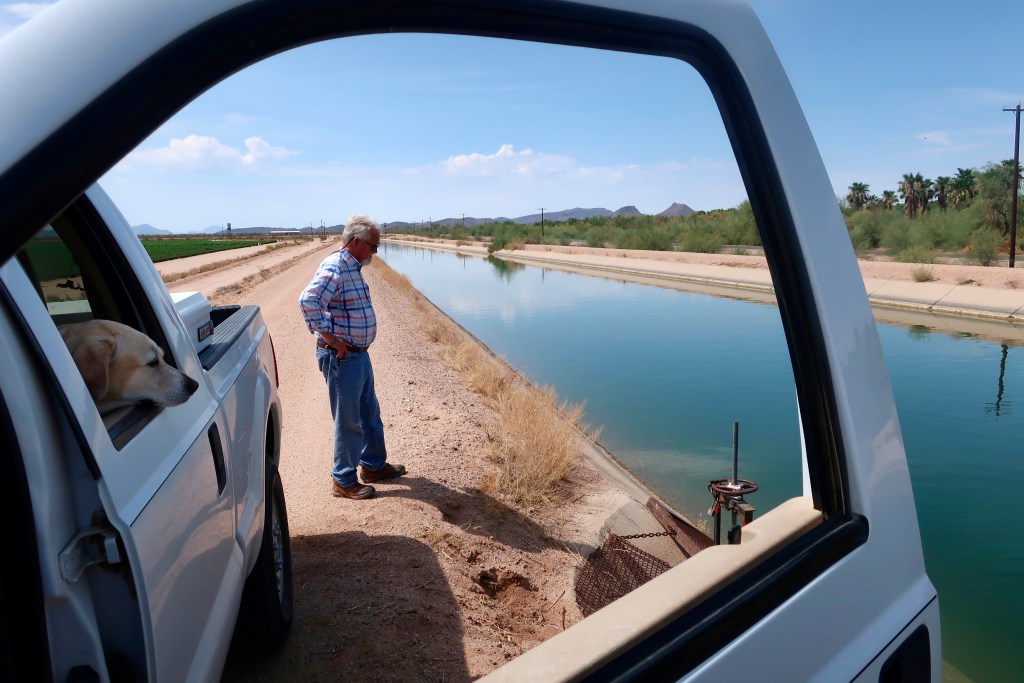 Paul "Paco" Ollerton and his dog, Aggie, look toward the canal system that delivers Colorado River water to his farm near Casa Grande, Ariz., on Tuesday, July 20, 2021. Climate change, drought and high demand are expected to force the first-ever mandatory cuts from the Colorado River water supply, and Arizona farmers will be hit hardest. (AP Photo/Felicia Fonseca)