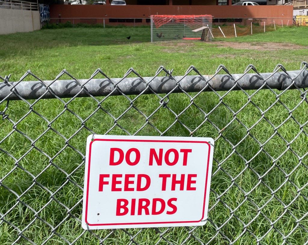 HECO put up signs to deter neighbors from feeding the chickens that were squatting their Waikīkī property. (Leilani Combs/Civil Beat/2026)