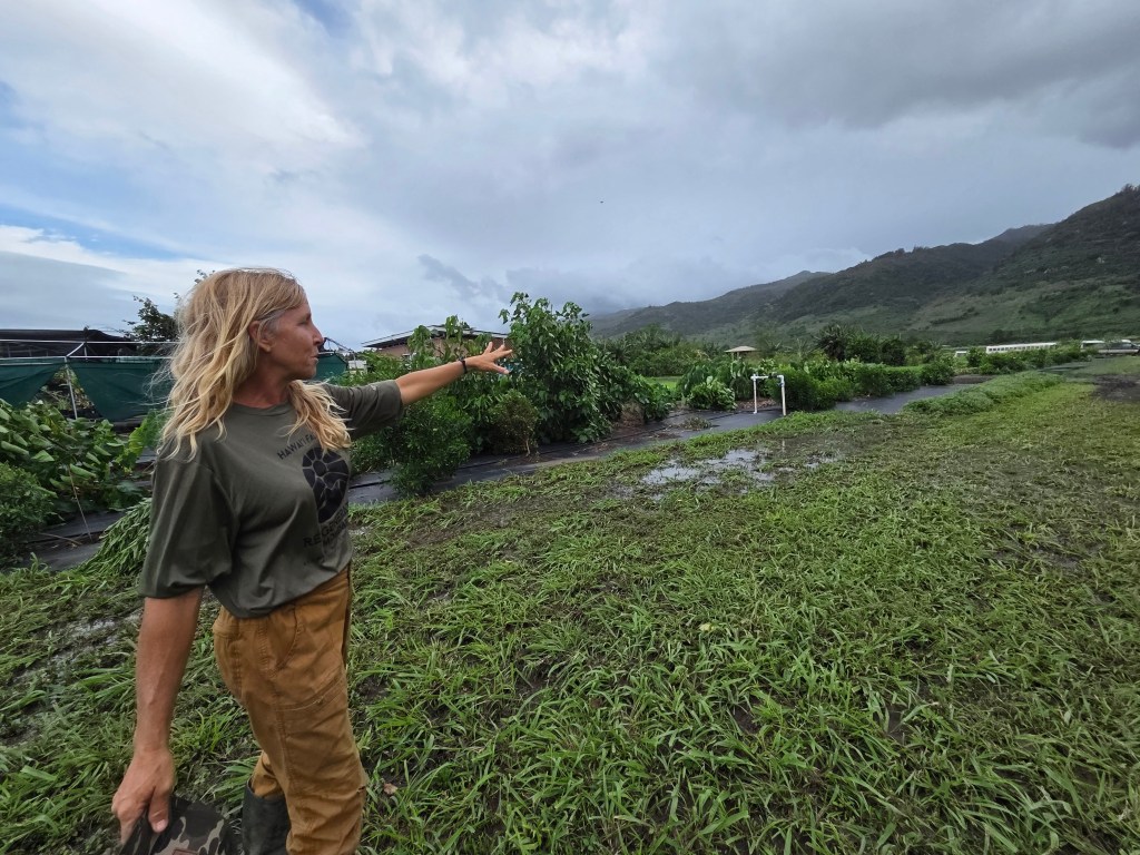 India Clark stands by a newly planted windbreak that the stormwaters tore down.