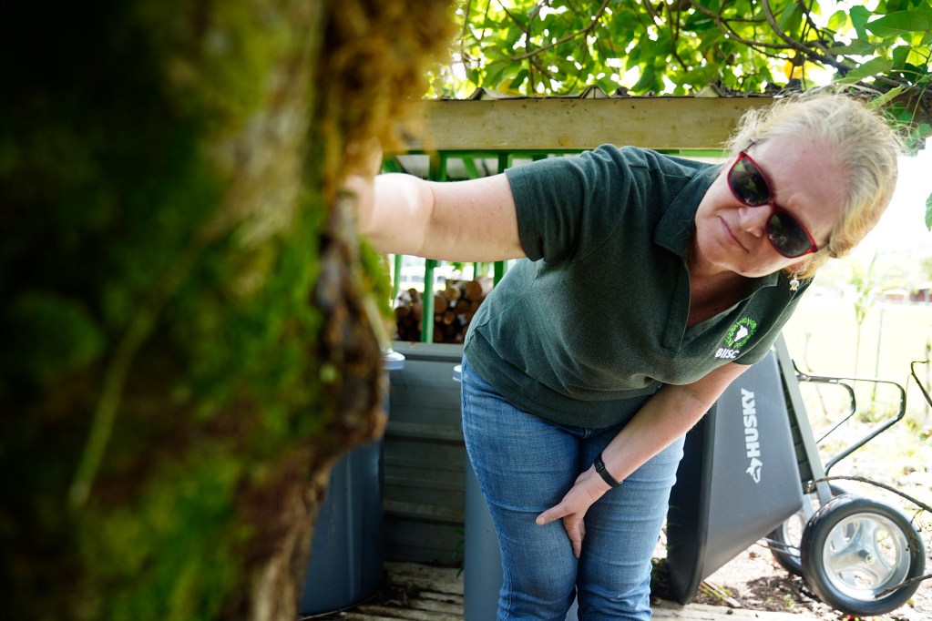 Big Island Invasive Species program manager Franny Brewer looks at Queensland Longhorn Beetle damage on a kukui tree Tuesday, April 11, 2026, at the Hawaiʻi Academy of Arts and Sciences in Pāhoa. Federal research facilities will be closed according to the U.S. Forest Service, threatening research of bio-controls and biosecurity. (Kevin Fujii/Civil Beat/2026)