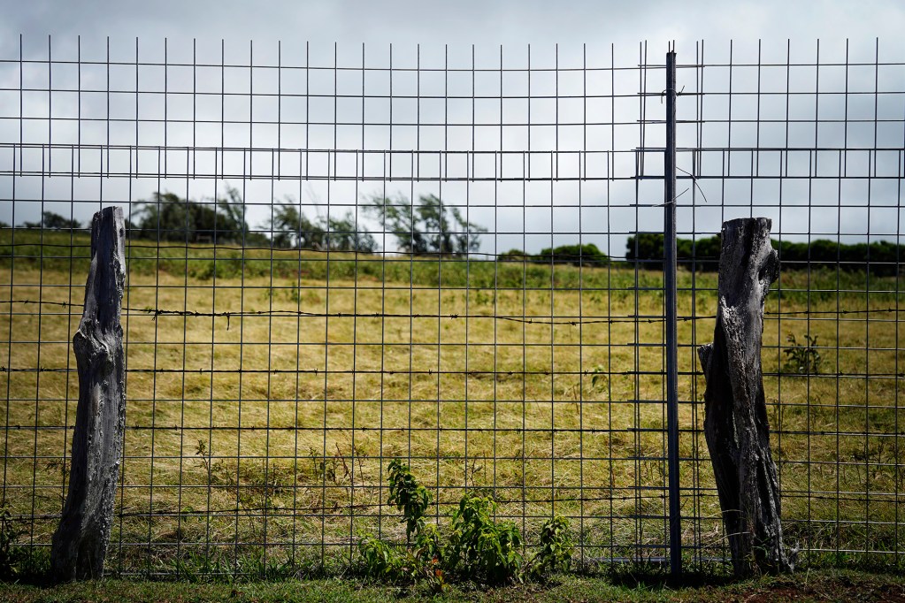 A deer fence on Kainalu Ranch is photographed Wednesday, May 27, 2026, in Kaunakakai. (Kevin Fujii/Civil Beat/2026)
