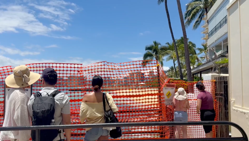 Crowd watching Hawaiian monk seals behind protective red barrier May 7, 2026