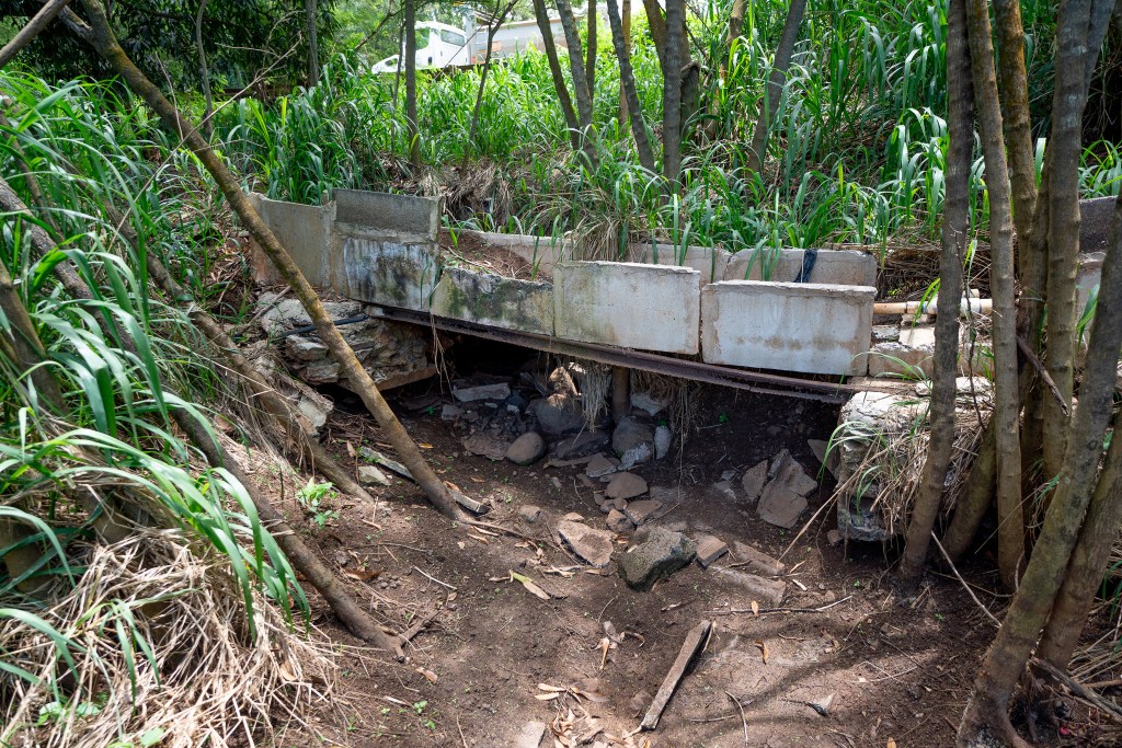 A truck on Farrington Highway passes over a drainage culvert at a Wailua farm June 1, 2026. The concrete structure over the drainage ditch is not in service and was erected during plantation days. (Craig Fujii/Civil Beat/2026)