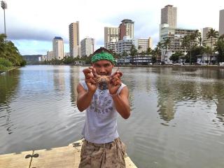 Who Does Care About the Ala Wai Canal?