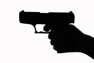 Which State Has the Lowest Gun Death Rate? Hawaii