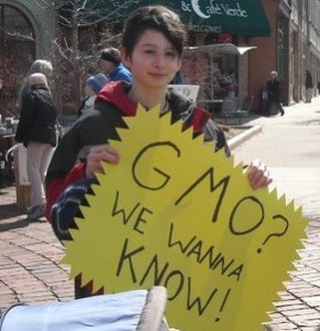 Study: GMO Food Labels Do Not Act as a Warning to Consumers