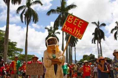 Kauai’s Passionate Anti-GMO March Aims to Sway Local Biotech Vote