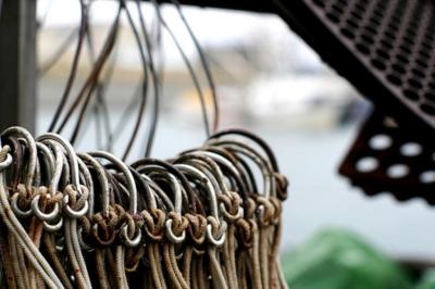 Fewer Ahi, More Mahi? Fishermen Are Changing the Pacific Ecosystem