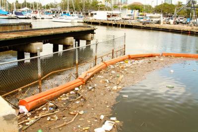 Ala Wai Canal: Oversight Is As Murky As The Water