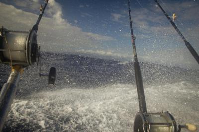 Federal Fisheries Group Presides Over Pacific Ocean Policies And Politics