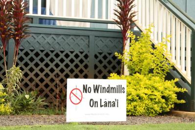 Sally Kaye: A Hui Hou To Fern Duvall, Hawaii’s ‘Biological Yoda’