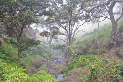 Hawaii Just Found A New Way To Fight Climate Change