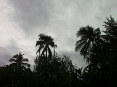 Storm Prompts Kakaako Parks Closure, Frustrating Homeless Advocates