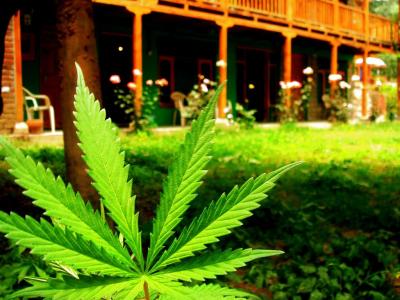 Pot Bills Go Up in Smoke