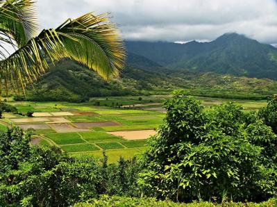 Civil Bytes: Travel-Planning Web App Builds Momentum On Island Time