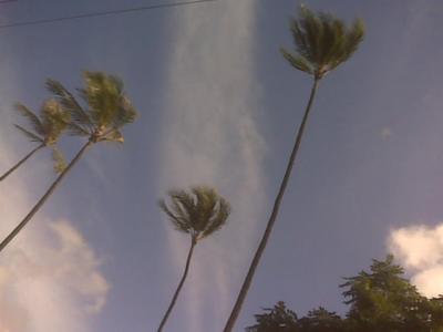 Living Hawaii: Why Is the Price of Paradise So High?