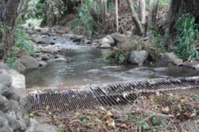 Changing Climate Threatens Hawaii’s Water Supply