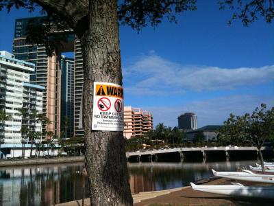 UPDATE: Sewage Spill Contaminates Palolo Stream to Magic Island