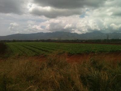 Supreme Court Affirms 3,500-Home Development On Farmland