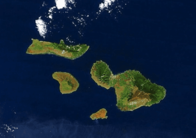 Critical Habitat Designated On Maui