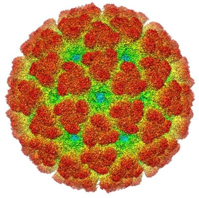 The Virus Next Time?