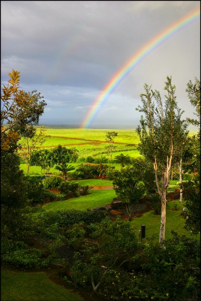 Living Hawaii: How Do You Pay the Price of Paradise?