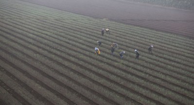 Senators: State Should Buy Dole Ag Lands On Oahu