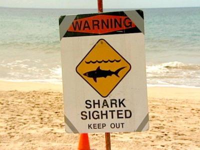 Shark Warning Signs Posted Near Bellows