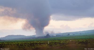 Sugar Cane Burning Study Is Flawed And Misleading