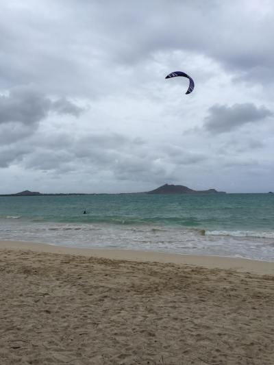 Kailua Crime Scene: Busted for Helping Launch Kites From Beach