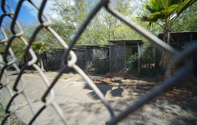 Plans For A New Honolulu Jail Hit  Another Snag
