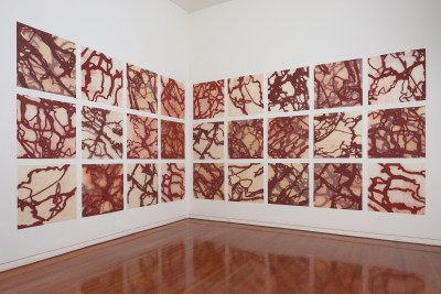 Native Hawaiian Artists Inspire, Ignite Social Change
