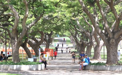Final Budget Leaves UH Treading Water On Key Programs And Improvements