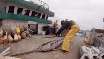 At Sea, Merely Observing Can Be Risky Business