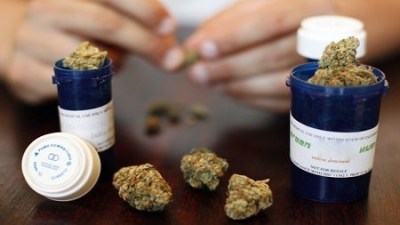 Pot With Patents Could Plant The Seeds Of Future Lawsuits