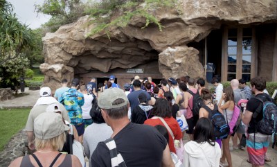 Denby Fawcett: Hawaii Pushes For More Tourists At All Costs