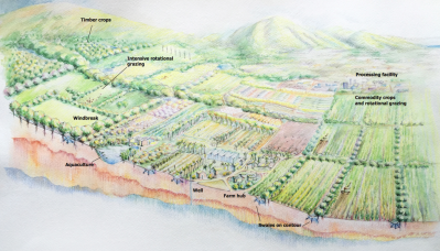Report: Maui’s Farming Future