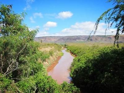 State Sued Over Kauai Pesticides