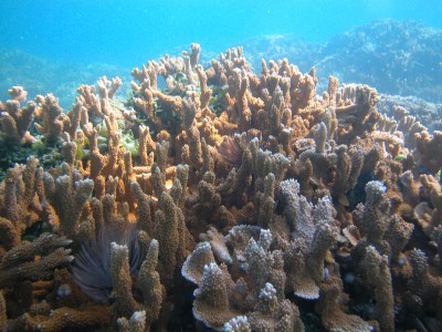 Expansion Of Marine Monument Protects Key Fisheries