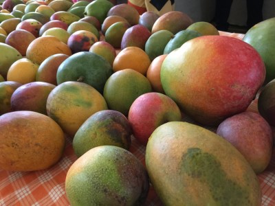 How To Encourage Healthy Diets And Support Local Agriculture