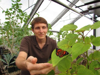 Civil Geeks: It’s Not Easy To Track Hawaii’s Beautiful State Insect