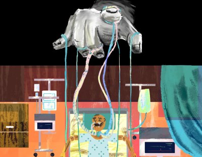 Let The Terminally Ill Exercise Personal Freedom