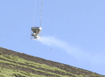 Ridding Lehua Island Of Rats Is A Potentially Dangerous Challenge