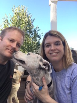 Tad Bartimus: Abandoned Pets Find Aloha In Northwest