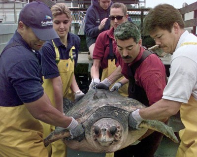 US Appeals Court: Feds Erred In Hawaii Fishery Expansion