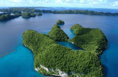 Palauans Are Protesting A Plan To Roll Back Their National Marine Sanctuary