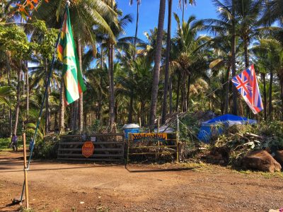Coco Palms Developer Fights Back With Its Own Native Hawaiian Research